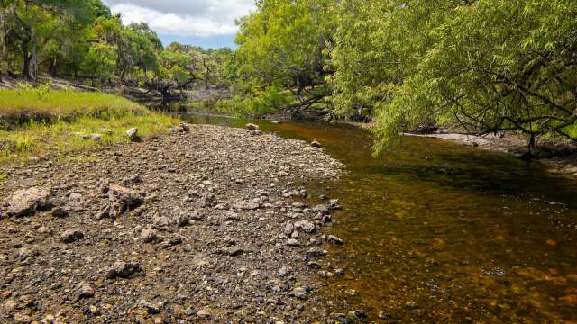 Officials have issued a Modified Phase II Severe Water Shortage for some of Northeast and Central Florida, according to WJXT.