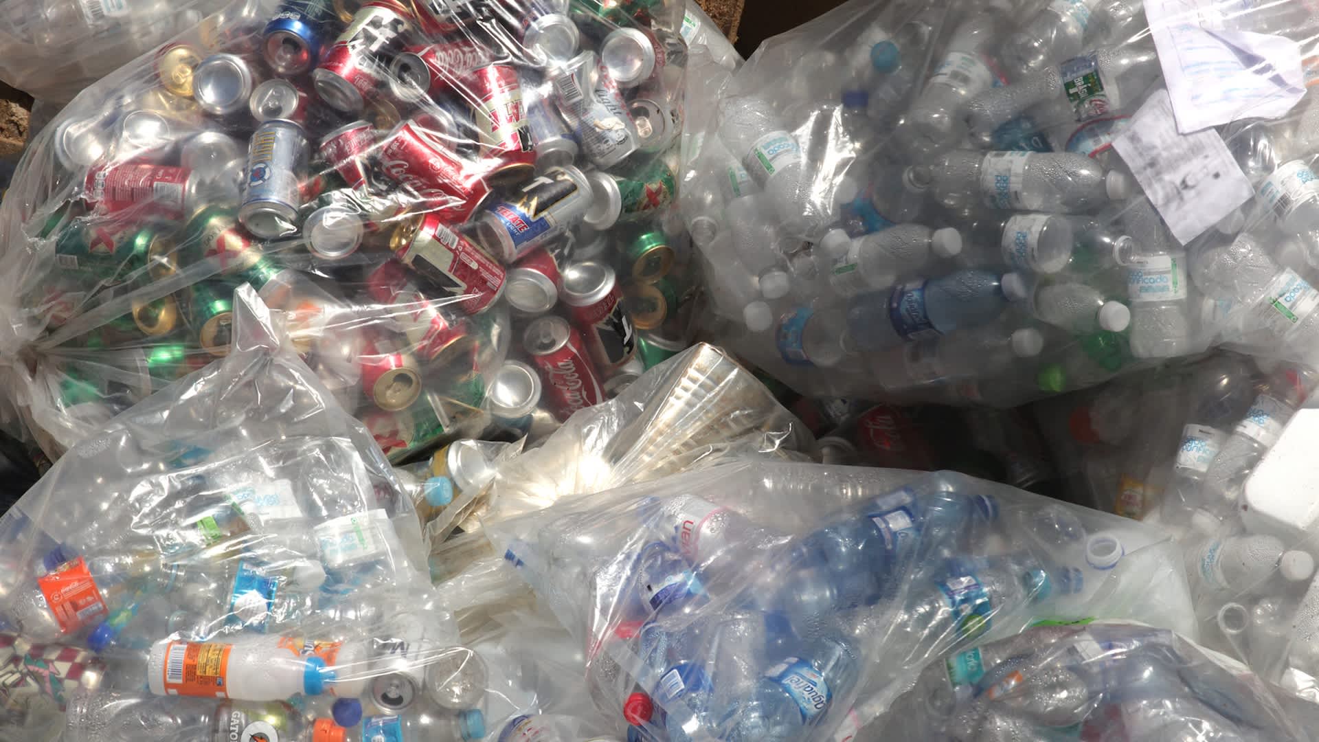 Family saves for new home for disabled sons by recycling thousands of aluminum cans