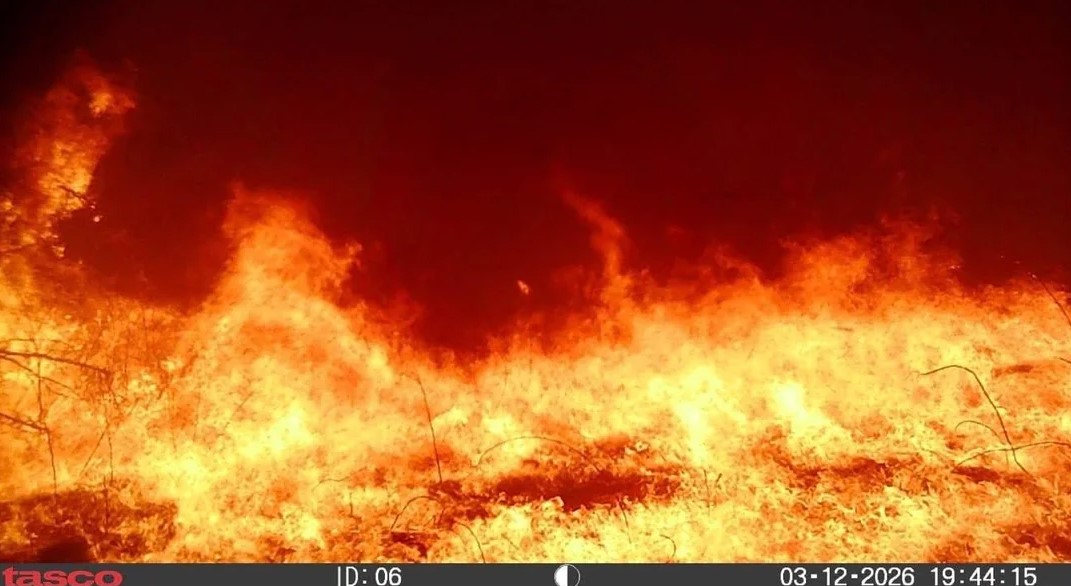 Trail camera footage of a raging wildfire with widespread flames.
