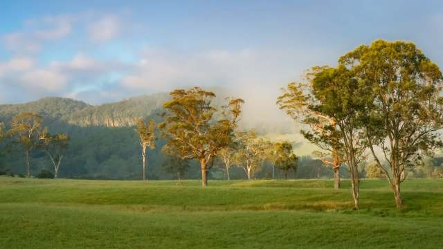 Australia's wildlife rescue system is under strain as disasters linked to increasing global temperatures grow more severe, according to a report by The Guardian.