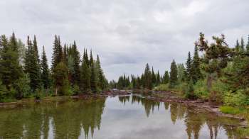 Some national park tourists aren't afraid to risk their lives to get a picture of a wild animal, despite the danger to everyone around.