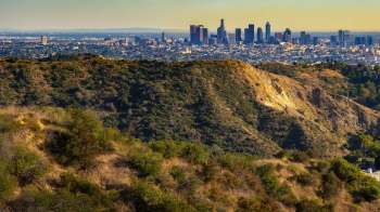 For the first time in a century, a wolf has appeared in Los Angeles County, according to the Los Angeles Times.