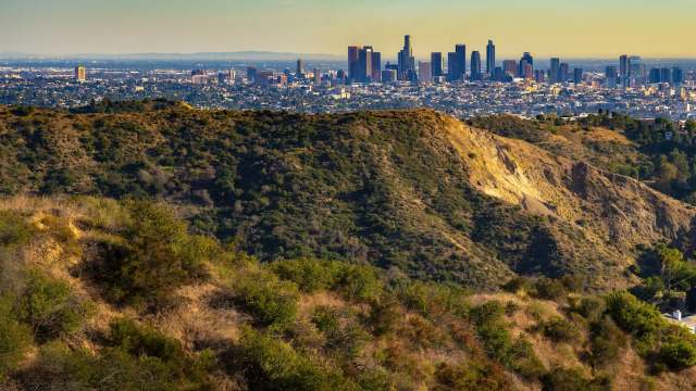 For the first time in a century, a wolf has appeared in Los Angeles County, according to the Los Angeles Times.