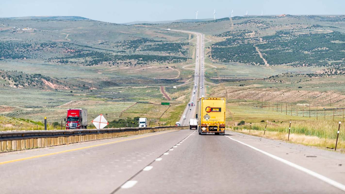 Snow fences in Wyoming, a living structure created to reduce highway accidents, improved visibility in windy, snowy weather as the fencing kept drifting snow off drivers' windscreens.