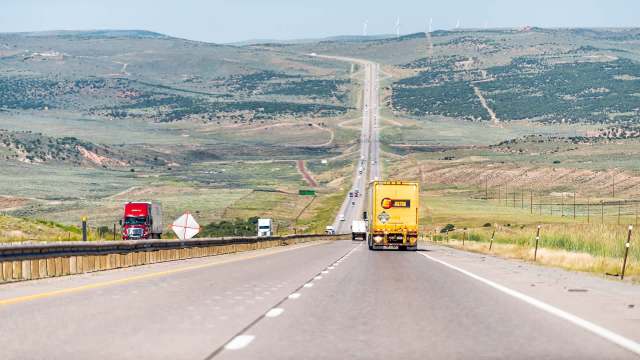 Snow fences in Wyoming, a living structure created to reduce highway accidents, improved visibility in windy, snowy weather as the fencing kept drifting snow off drivers' windscreens.