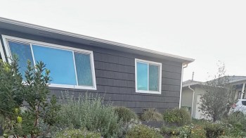 Planting native flowers and grasses can turn any lawn into a backyard paradise, as one Reddit user revealed in photos they shared to the r/Ceanothus subreddit.