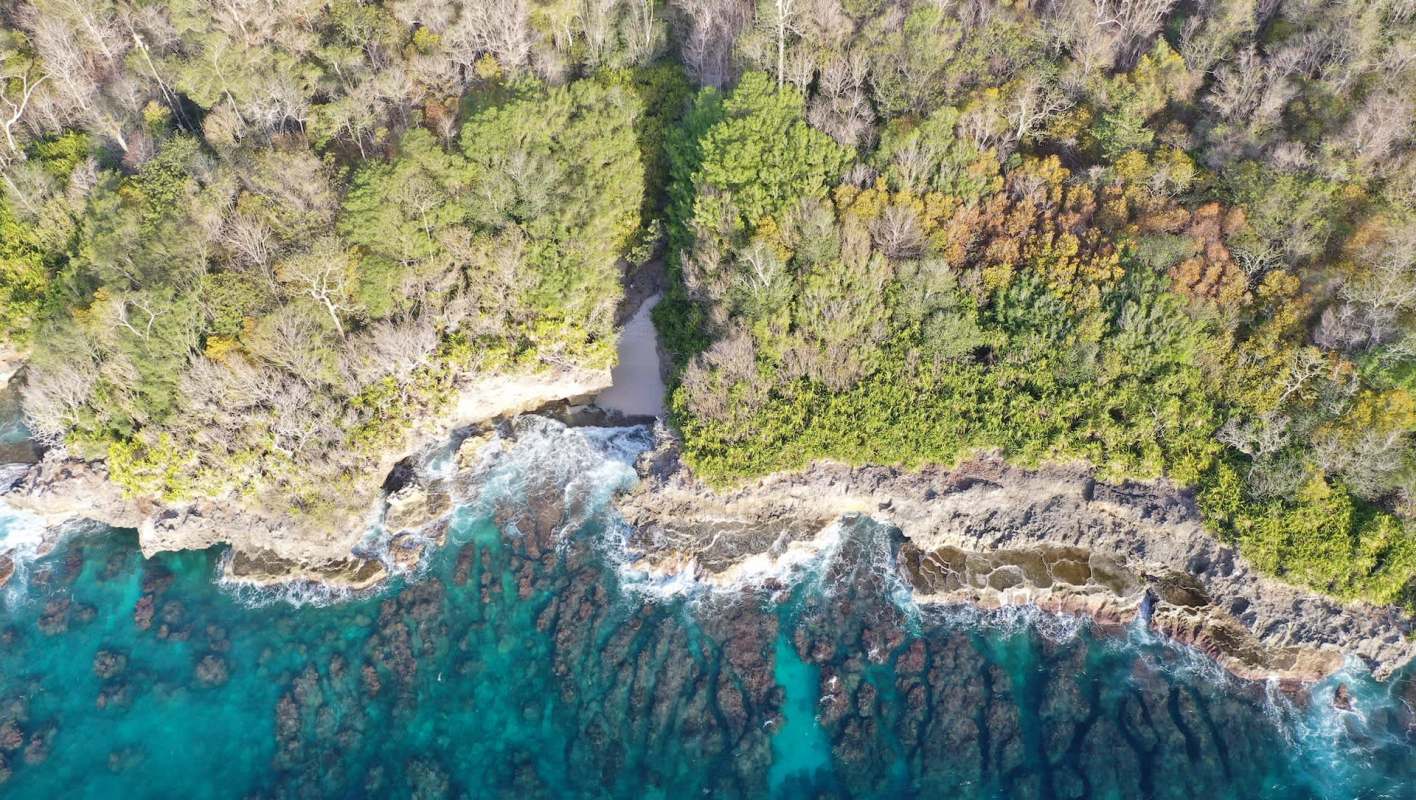 Aerial view of rocky coastline with lush greenery and turquoise waters.