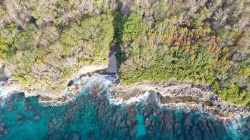 Aerial view of rocky coastline with lush greenery and turquoise waters.