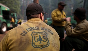 A firefighter in a yellow uniform with a "U.S. Forest Service" emblem discusses strategy amid a smoky forest backdrop.