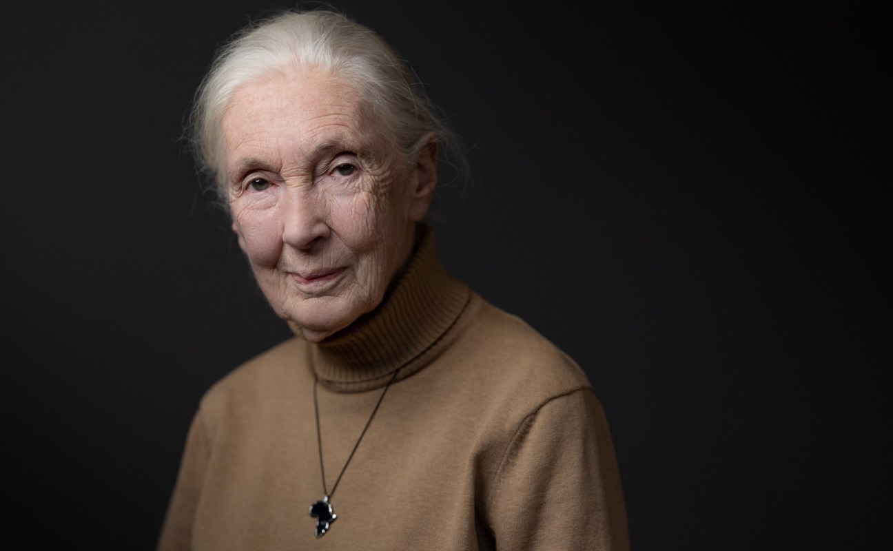 Jane Goodall, with gray hair and a warm smile and wearing a brown turtleneck sweater.