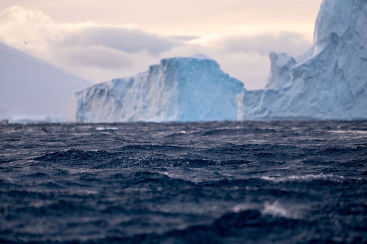 A view of dark ocean waves with large icebergs in the background under a cloudy sky.
