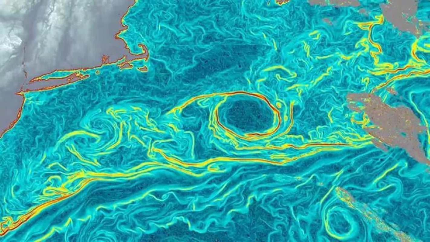 A colorful satellite image of ocean currents swirling near the coast, depicted in shades of blue and yellow.