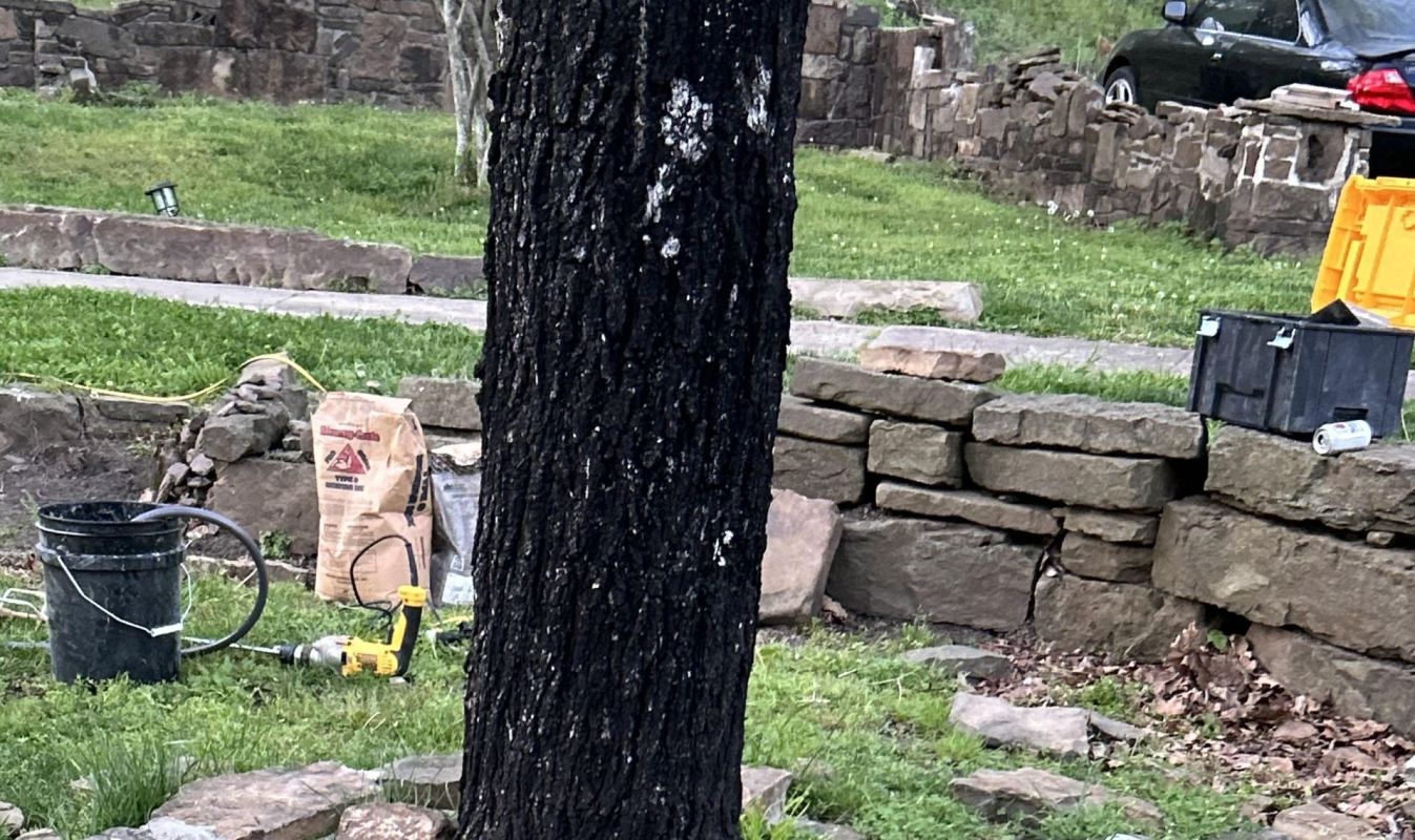 A charred tree trunk stands amidst a grassy yard with tools and stone walls in the background.