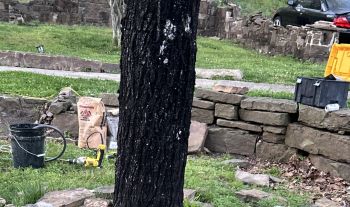 A charred tree trunk stands amidst a grassy yard with tools and stone walls in the background.