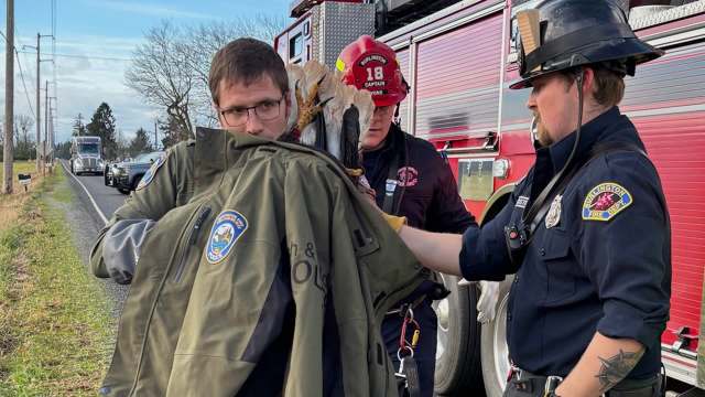 A man assists an injured bald eagle while firefighters gather nearby.