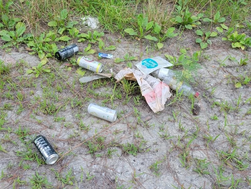 Litter on the ground surrounded by tufts of grass and dirt in a national forest.