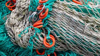 A close-up of fishing nets featuring intertwined fibers and bright orange rings among teal and beige threads.