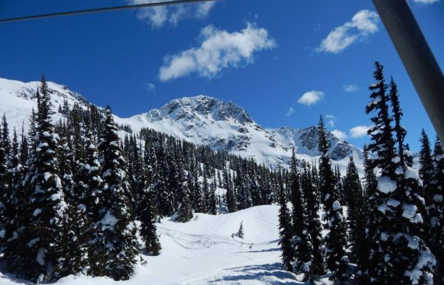A snowy mountain landscape with tall evergreen trees under a clear blue sky.