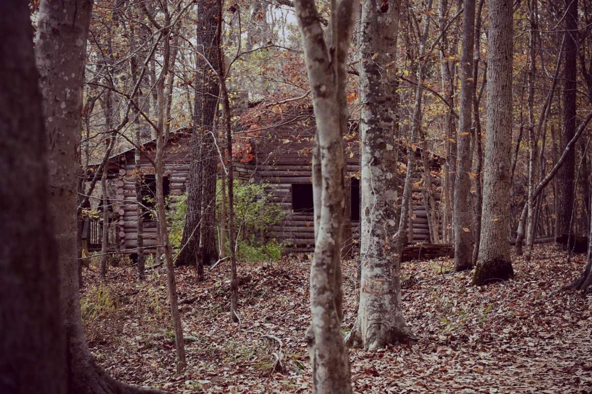 An abandoned log cabin surrounded by trees in a forest during autumn.