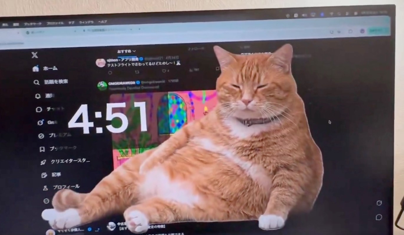 A large orange cat overlayed on a computer screen.