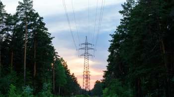A power line stands between tall trees.