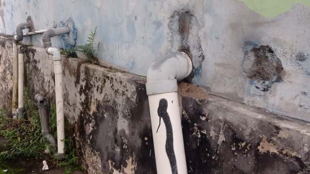 A weathered wall features multiple pipes, some with moss, and a graffiti-like figure on a white pipe.
