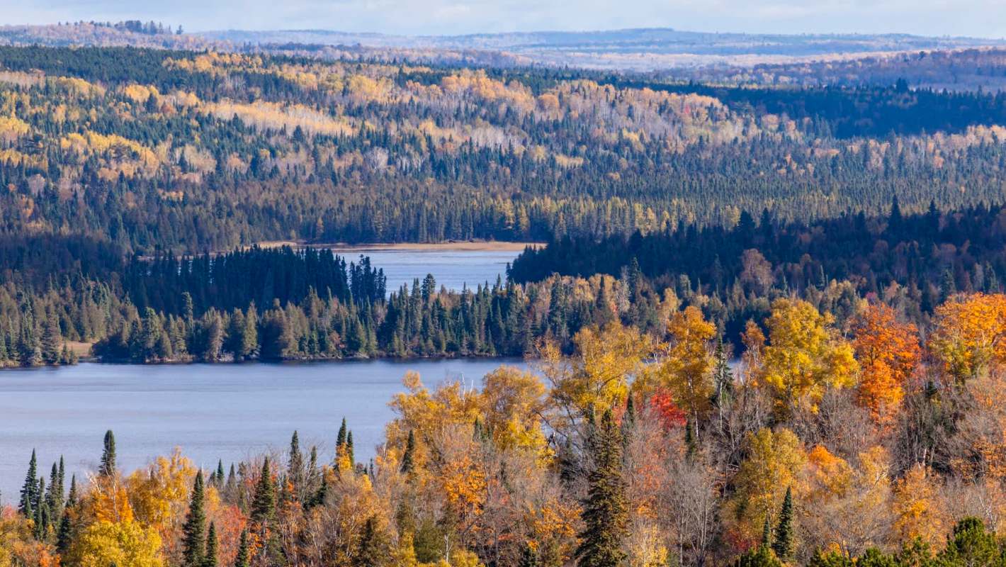 A panoramic view of a forested landscape with vibrant autumn foliage and a serene lake.