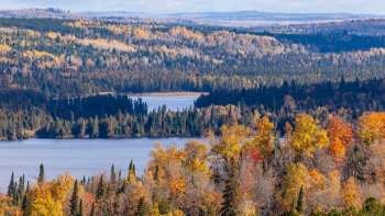 A panoramic view of a forested landscape with vibrant autumn foliage and a serene lake.