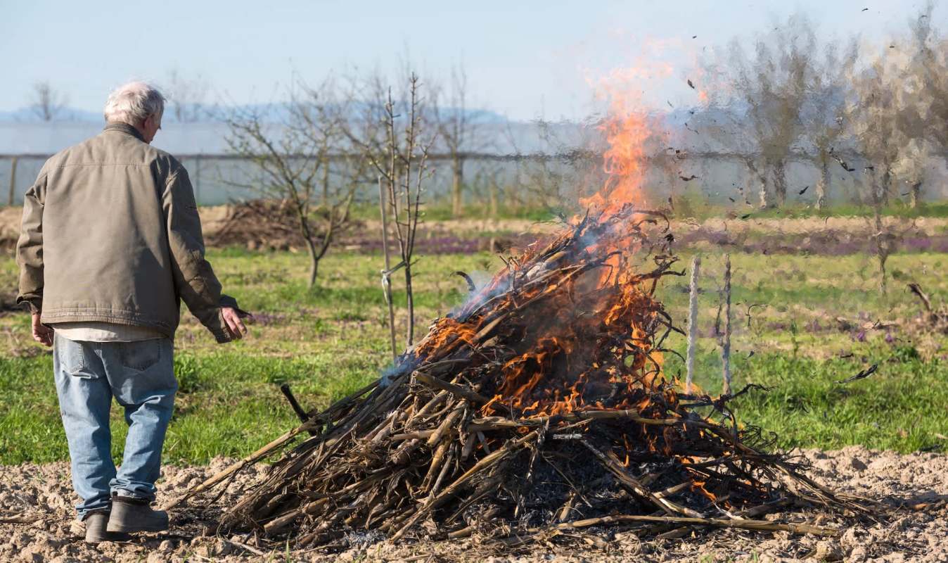 An elderly man stands beside a burning pile of twigs and branches in a green field.