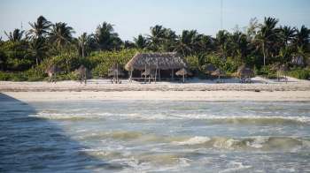 A tranquil beach scene featuring a thatched-roof hut and palm trees along the shoreline.