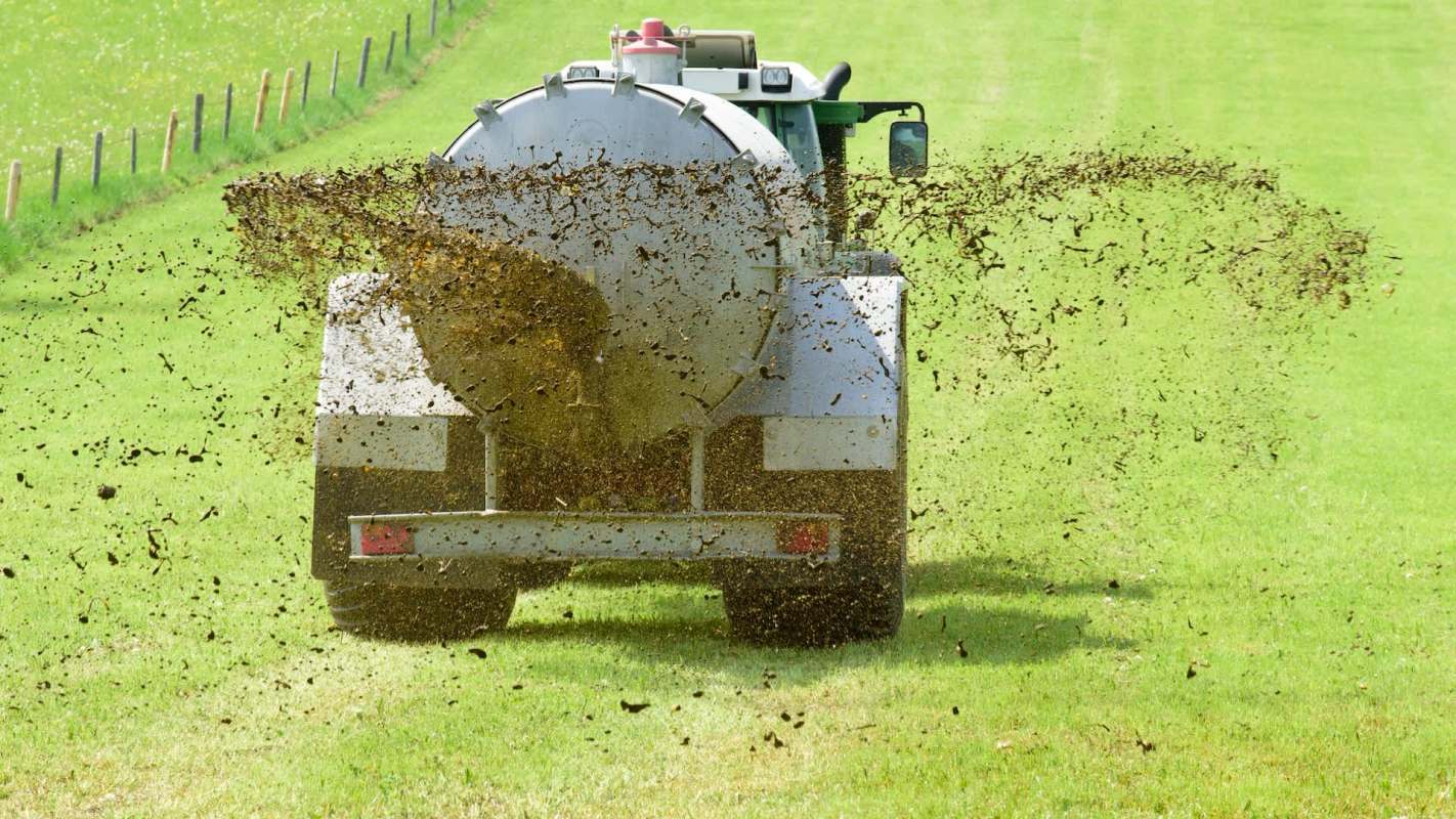 A tractor spreading fertilizer across a lush green field on a sunny day.