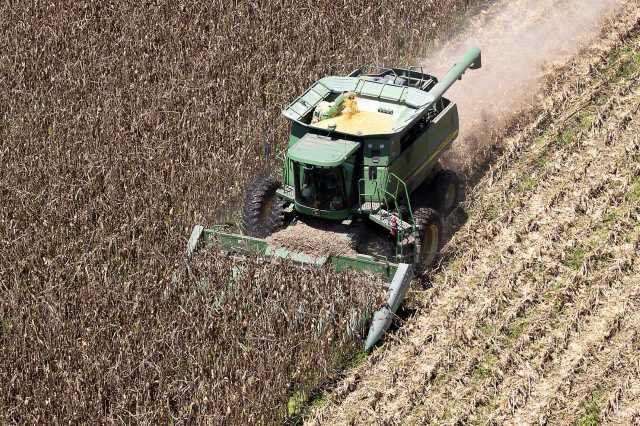 A large green combine harvester operates in a field of dried corn stalks, collecting grain and creating dust.