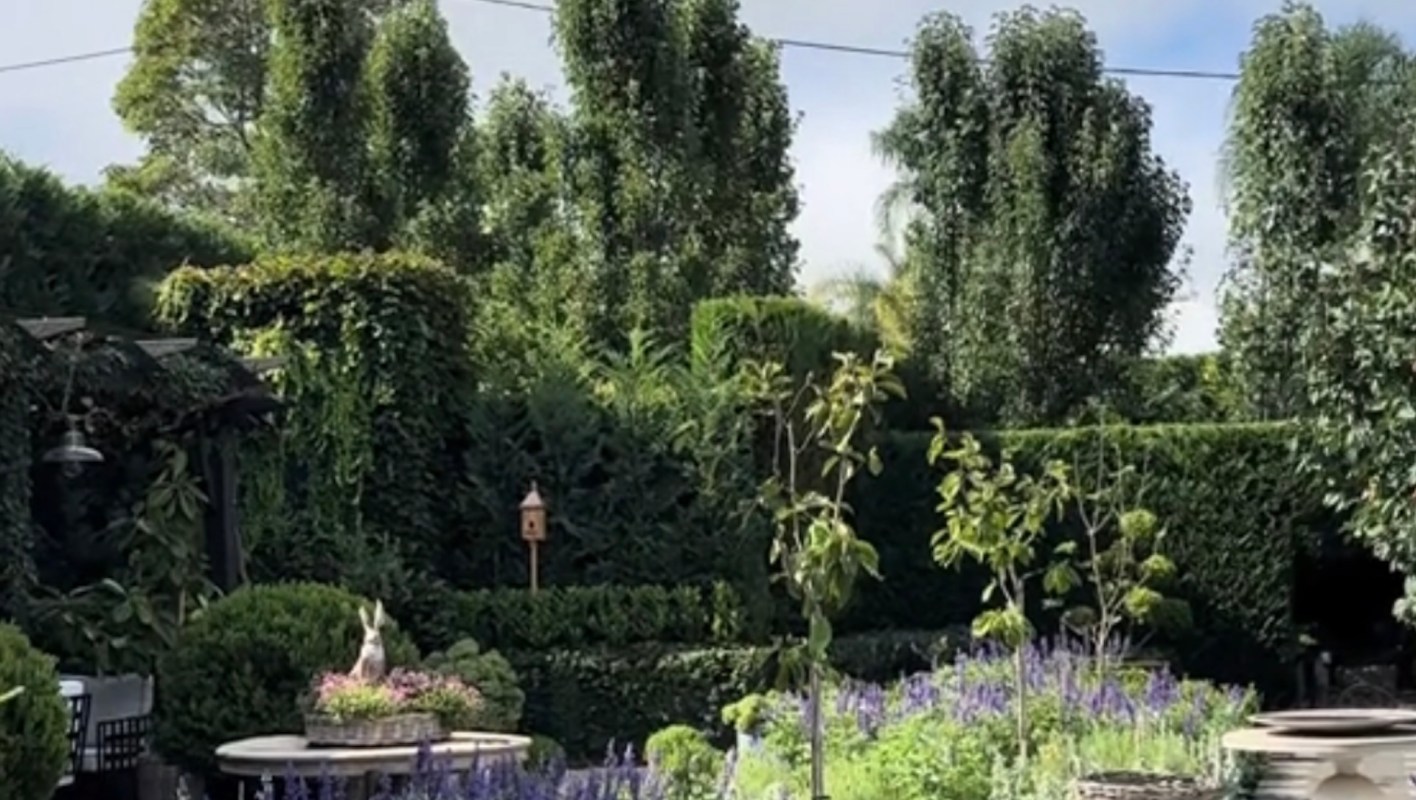 A vibrant garden featuring purple flowers, neatly trimmed hedges, and trees under a clear sky.