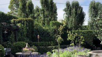 A vibrant garden featuring purple flowers, neatly trimmed hedges, and trees under a clear sky.