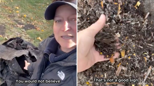 A person holds a black tarp while showing soil with concerns about its quality in a backyard setting.