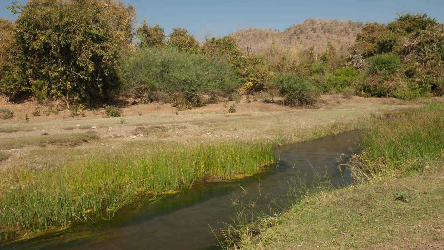 A calm stream flows through a grassy area with shrubs and hills in the background under a clear blue sky.