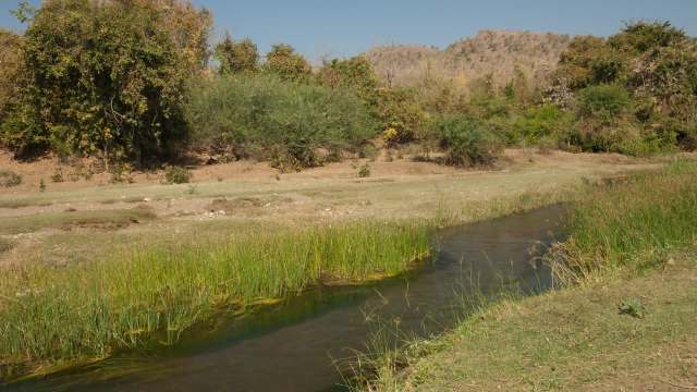 A calm stream flows through a grassy area with shrubs and hills in the background under a clear blue sky.