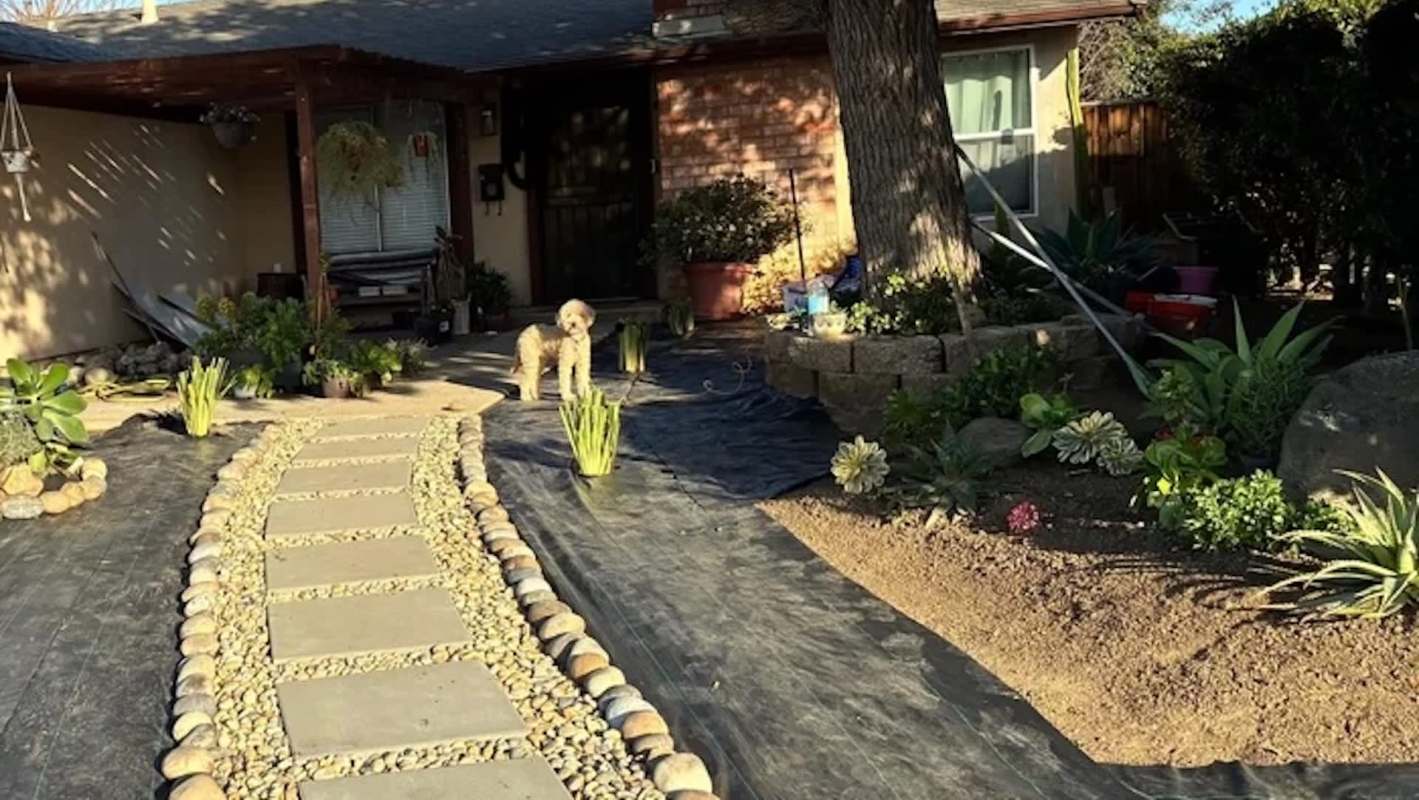 A front yard featuring a stone path, potted plants, and a small dog standing near the entrance.
