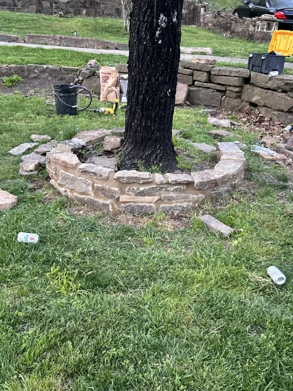 The base of a tree with a rock wall under construction around it.