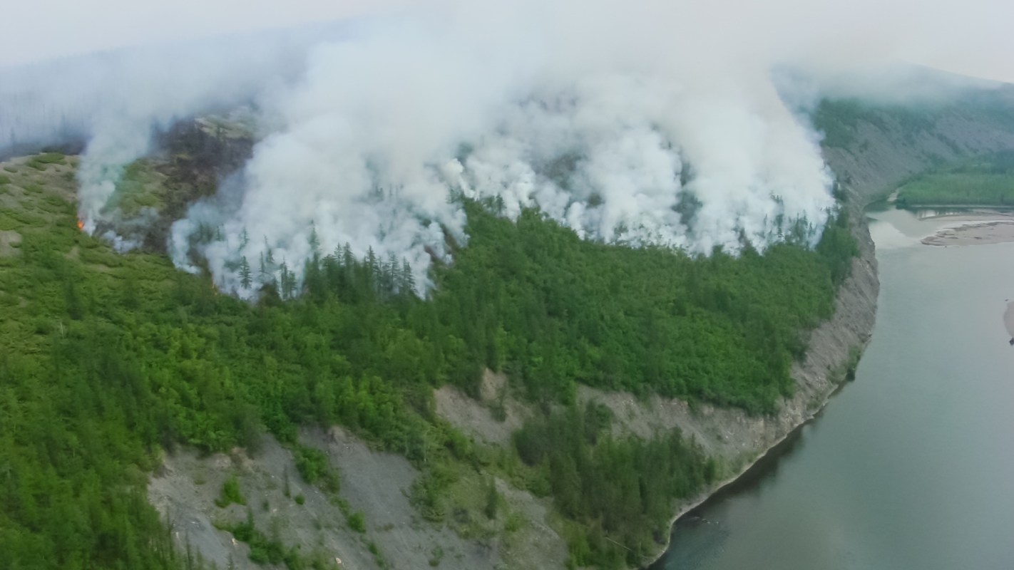 Aerial view of a forest with smoke rising from a fire along a riverbank amid dense greenery.