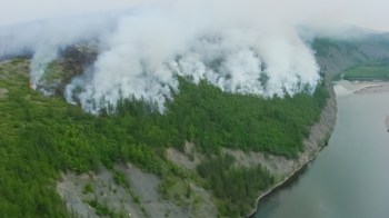Aerial view of a forest with smoke rising from a fire along a riverbank amid dense greenery.