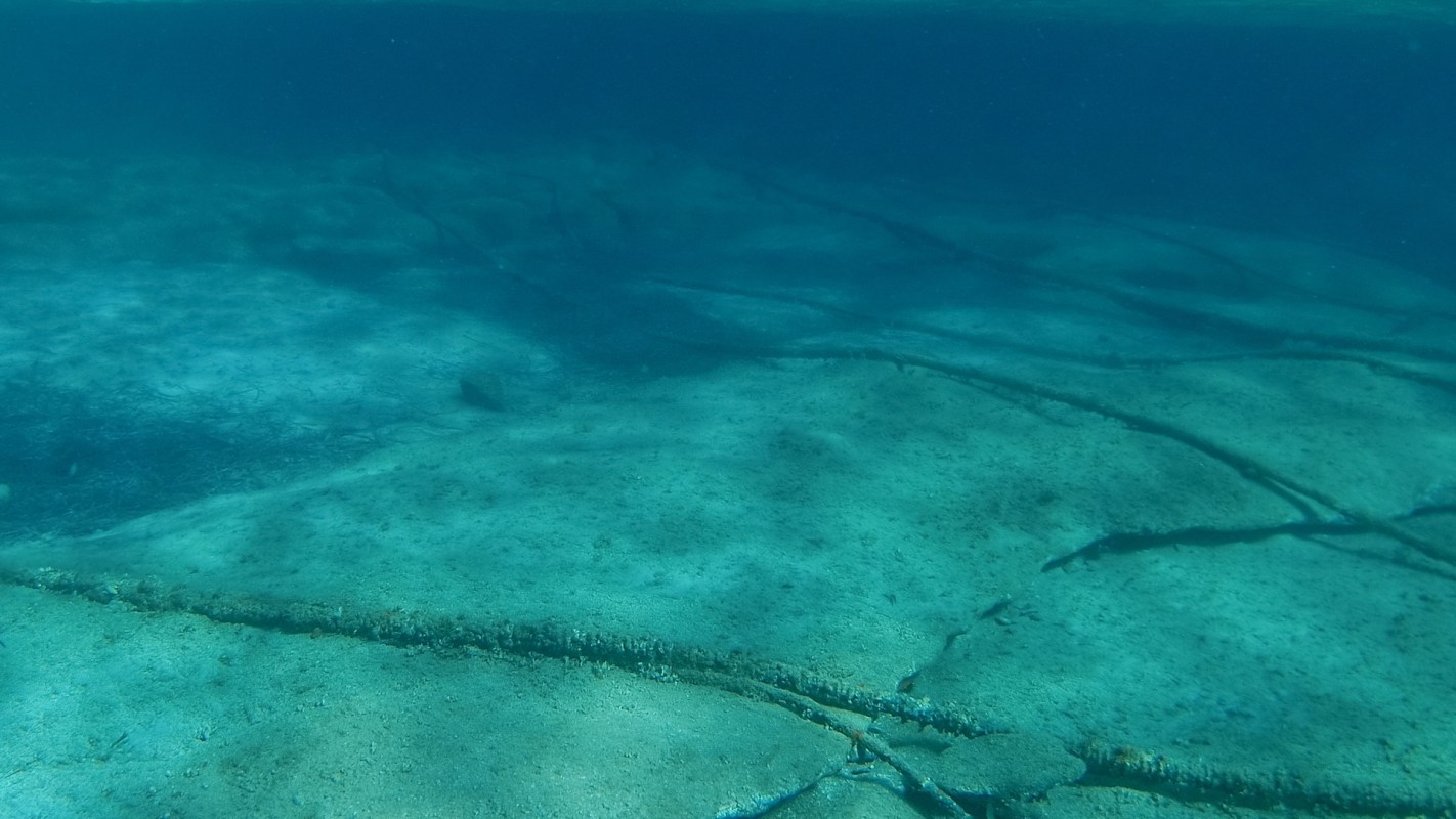 An underwater view of a sandy sea floor with cables, submerged rocks and aquatic plants.