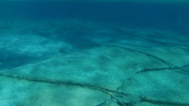 An underwater view of a sandy sea floor with cables, submerged rocks and aquatic plants.