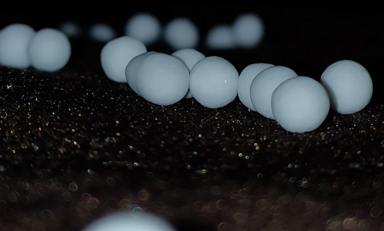 A close-up view of small white spheres scattered on a dark, shimmering surface.