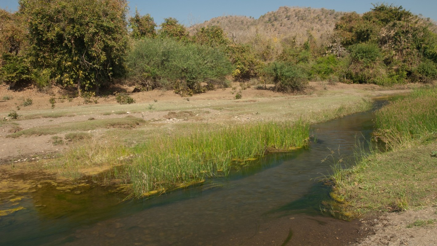 A serene river flows through a landscape of grass and sparse trees, with hills in the background.