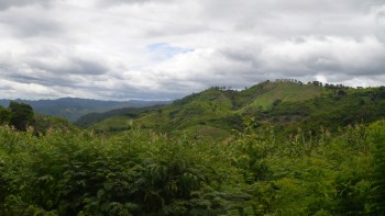 Lush green hills under a cloudy sky, showcasing a scenic landscape rich in vegetation.