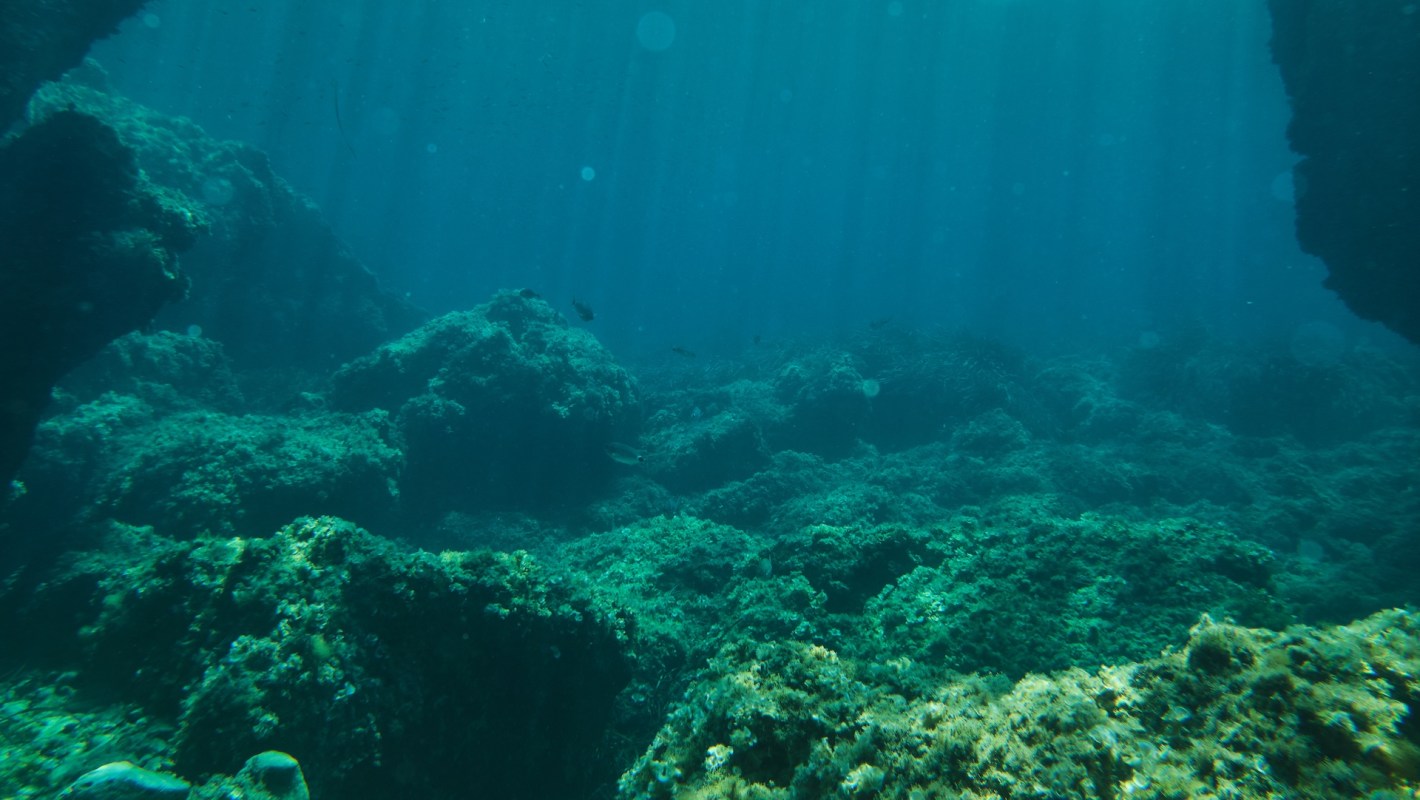 A dark picture of the bottom of the ocean.