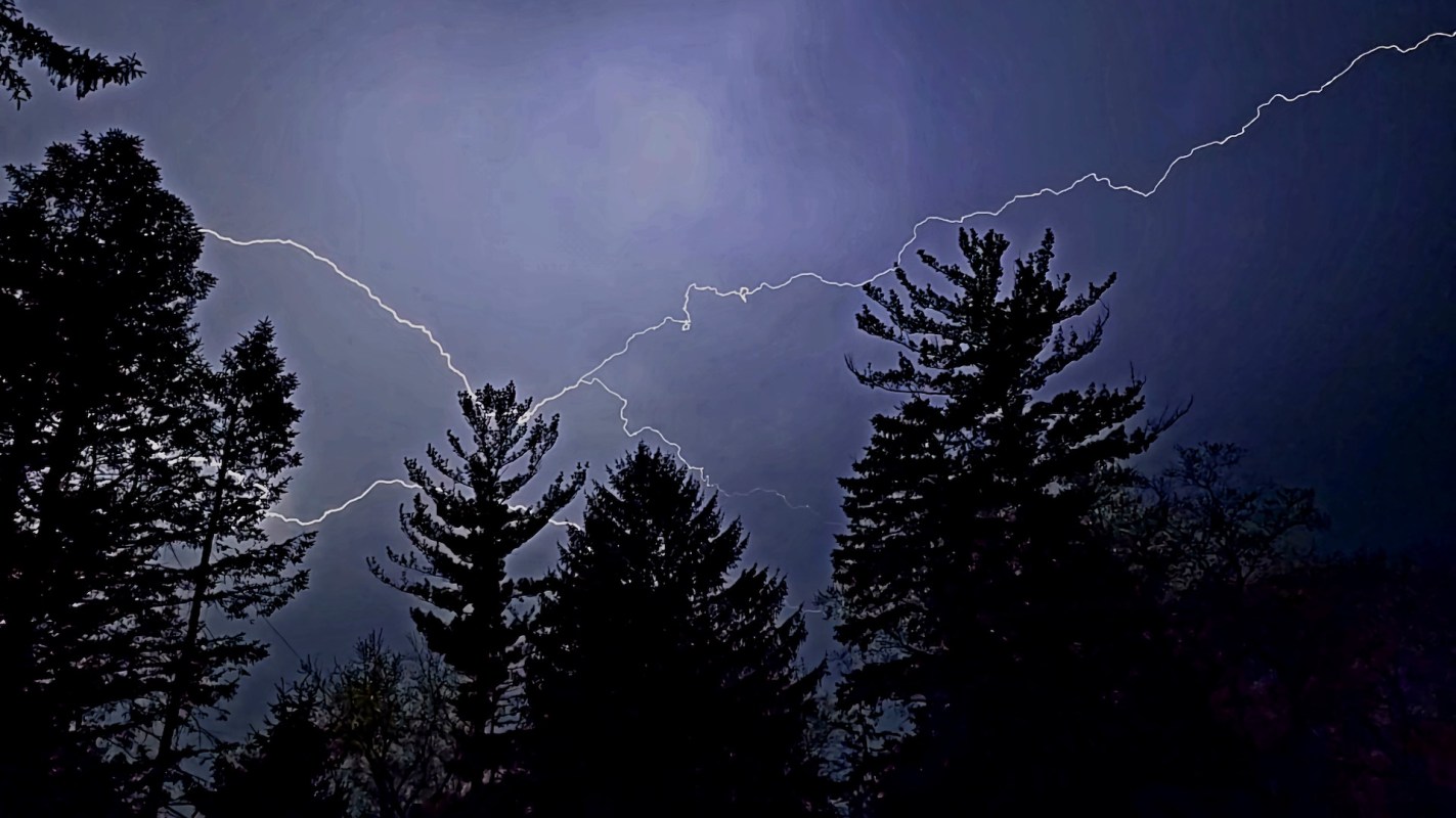 Lightning above trees during a thunderstorm.