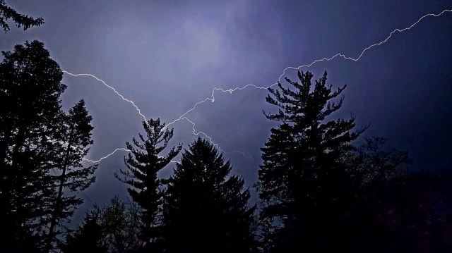 Lightning above trees during a thunderstorm.
