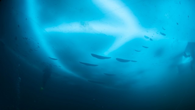 An underwater scene showcasing a diver surrounded by blue water and scattered debris beneath ice.